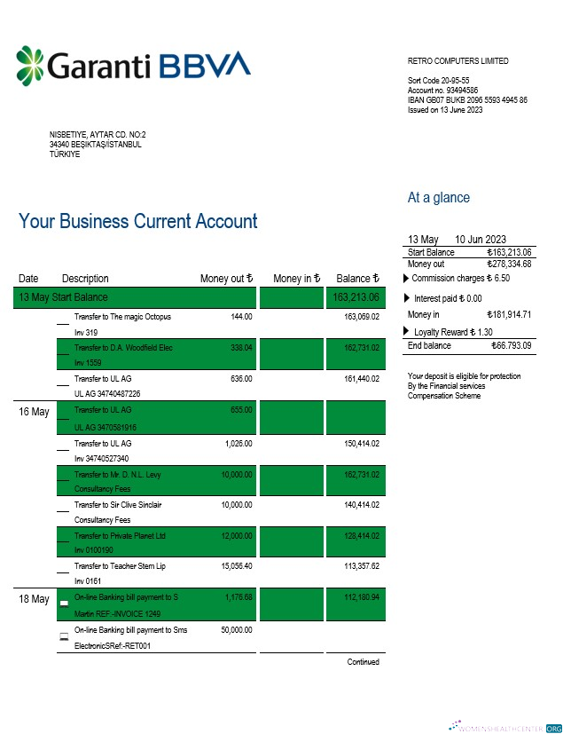 Download Garanti BBVA Bank enterprise statement Word and PDF template Photoshop template